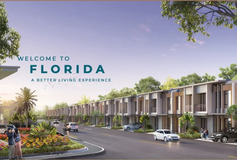 Cluster Florida Overview 1